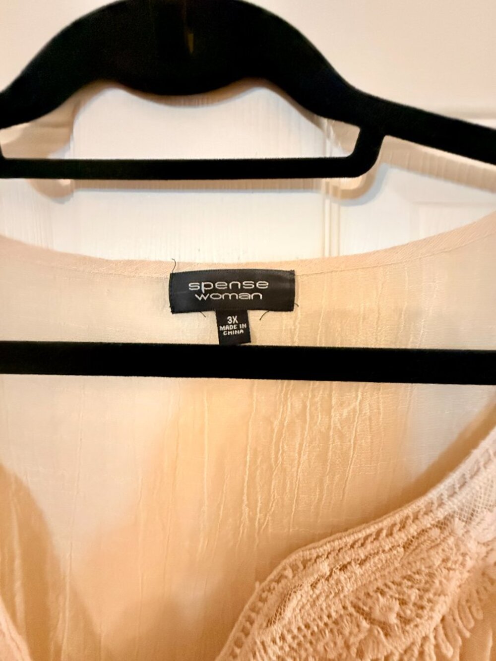 Ivory and Lace Button Down Blouse - Sheer - Spence Women - Size 3X - Picture 3 of 4